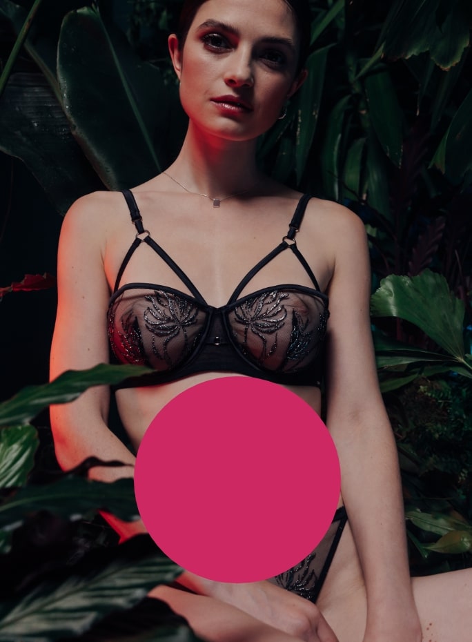 Découvrir toute la ollection Noël